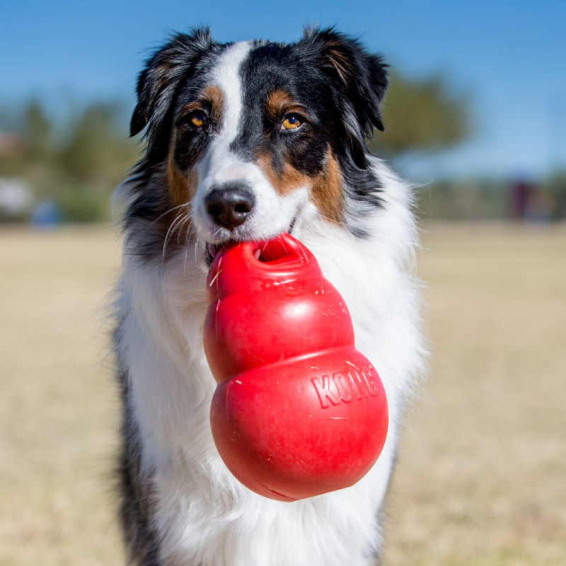 KONG® BOUNZER™