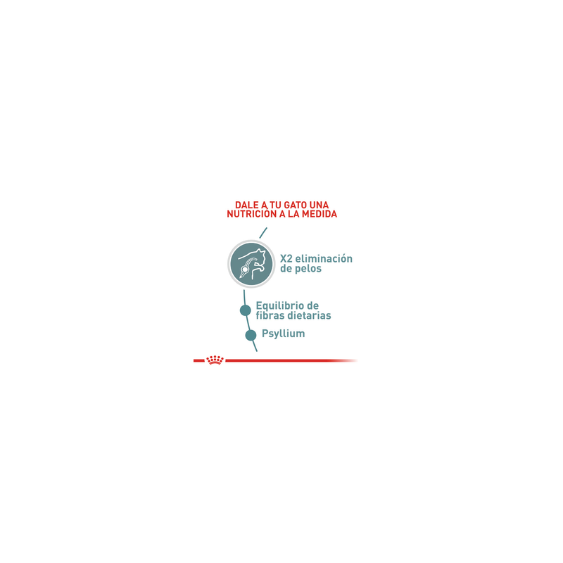Royal Canin FCN HAIRBALL CARE 2K