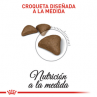 Royal Canin FCN HAIRBALL CARE 2K