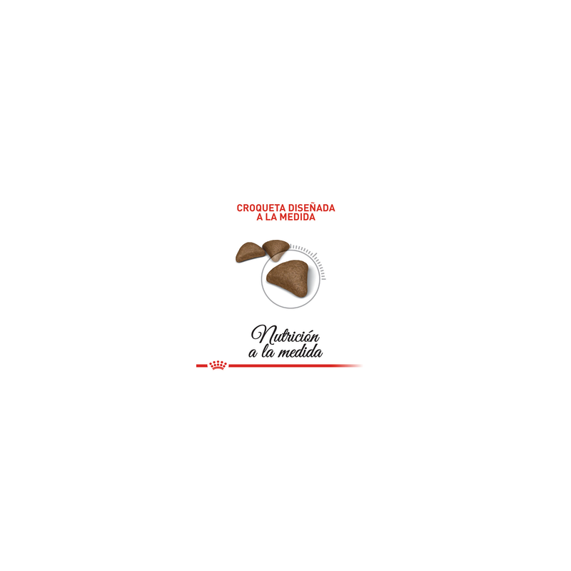 Royal Canin FCN HAIRBALL CARE 2K