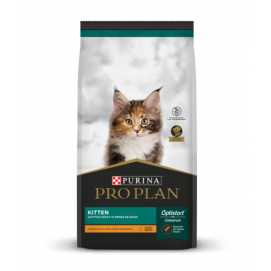 PRO PLAN KITTEN