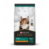 PRO PLAN KITTEN