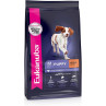 Eukanuba Puppy - Razas Medianas