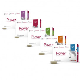 Power Comprimidos - Antipulgas Ingeribles