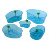 LAGUNA PARA TORTUGAS - FORMA DE RIÑON
