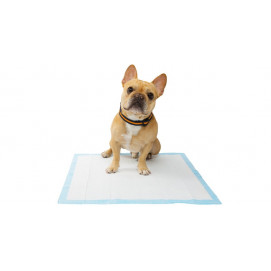 ADVANCE HOUSEBREAKING PADS – 5 UNIDADES