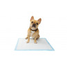 ADVANCE HOUSEBREAKING PADS – 5 UNIDADES