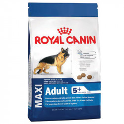 Royal Canin SHN MAXI Adulto 5+ 15 kg