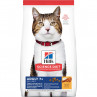 Hills Science Diet Adult 7+ Feline 4 lbs