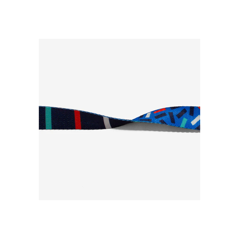 Zeedog Atlanta Collar