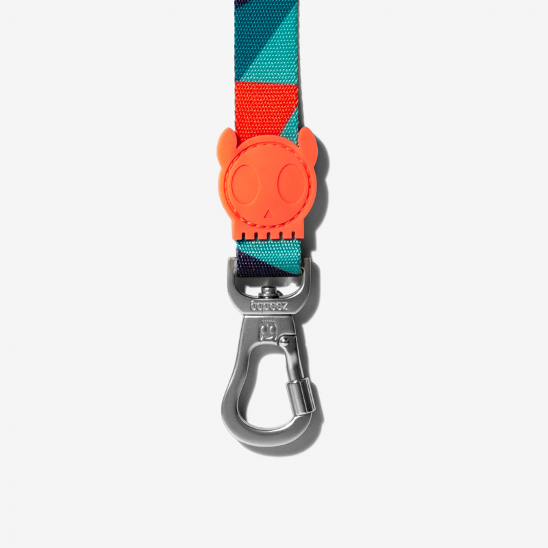 Zeedog Ella Leash