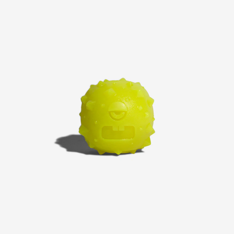 Zeedog Rob the Microb