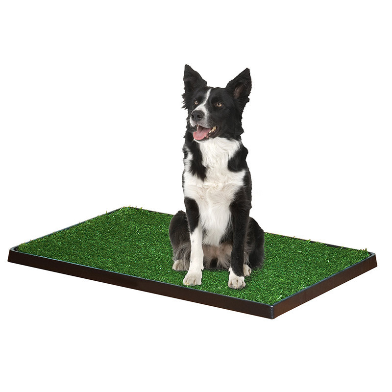 WEE-WEE PATCH – GRAMA ARTIFICIAL PARA PERROS
