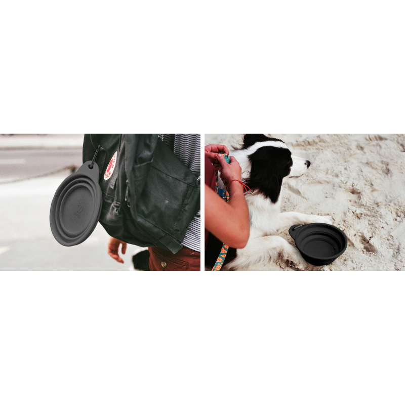 Zeedog Go Bowl Black - Plato Plegable