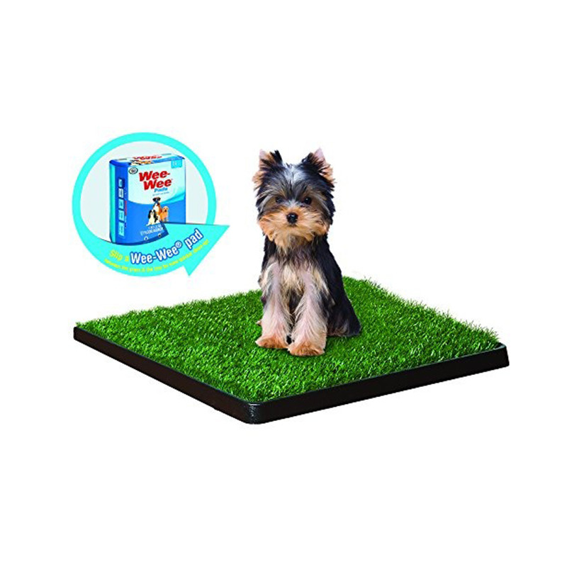 WEEWEE PATCH GRAMA ARTIFICIAL PARA PERROS Tamaño Pequeño