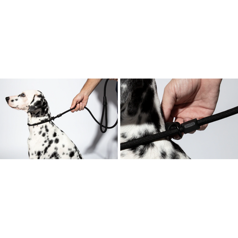Zeedog Gotham Slip On Leash