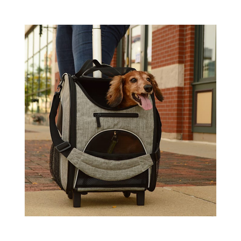 TRANSPORTADORA BERGAN ROLLING PET CARRIER