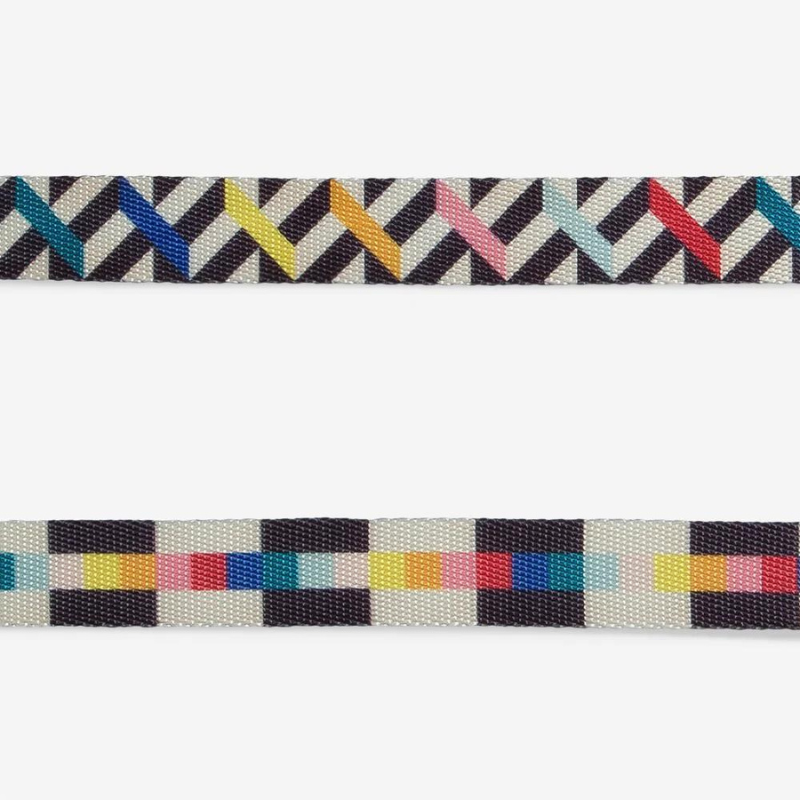Zeedog Fritz Leash