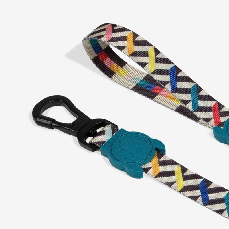 Zeedog Fritz Leash