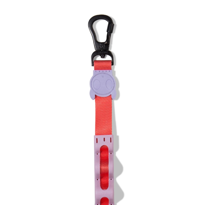 Zeedog Genie Ruff Leash