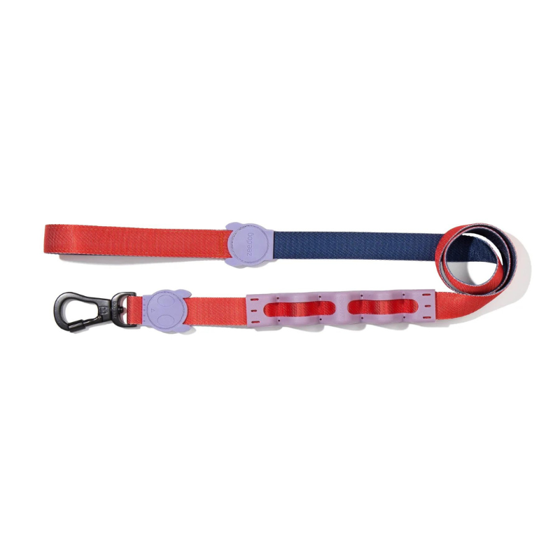 Zeedog Genie Ruff Leash