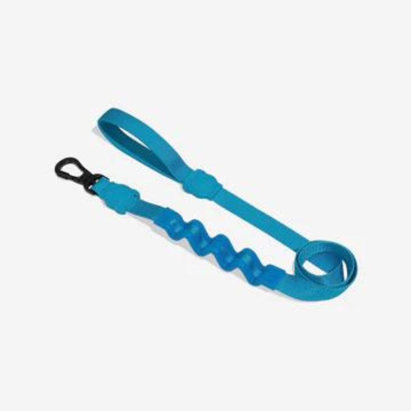 Zeedog Ultimate Blue Ruff Leash