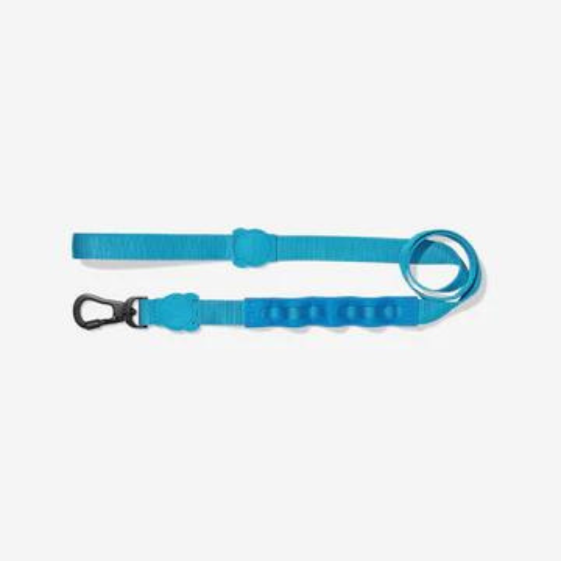 Zeedog Ultimate Blue Ruff Leash
