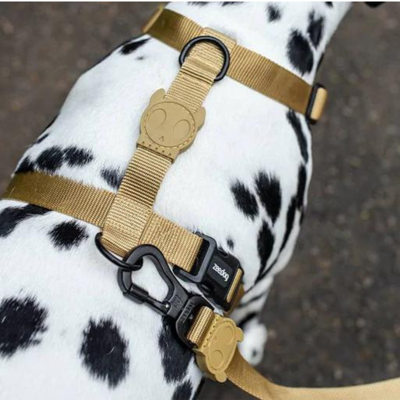 Zeedog Sand H Harness