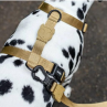 Zeedog Sand H Harness