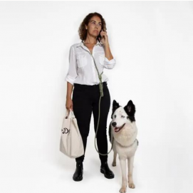 Zeedog Army Hands Free Leash