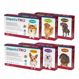Simpárica Trio