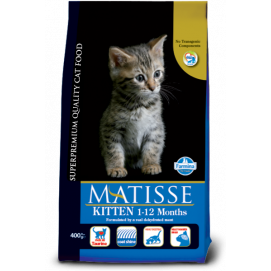 Matisse Gatito