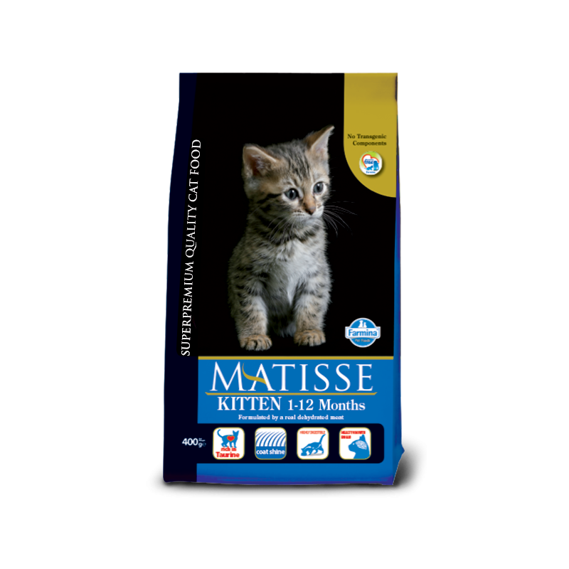 Matisse Gatito
