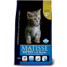 Matisse Gatito