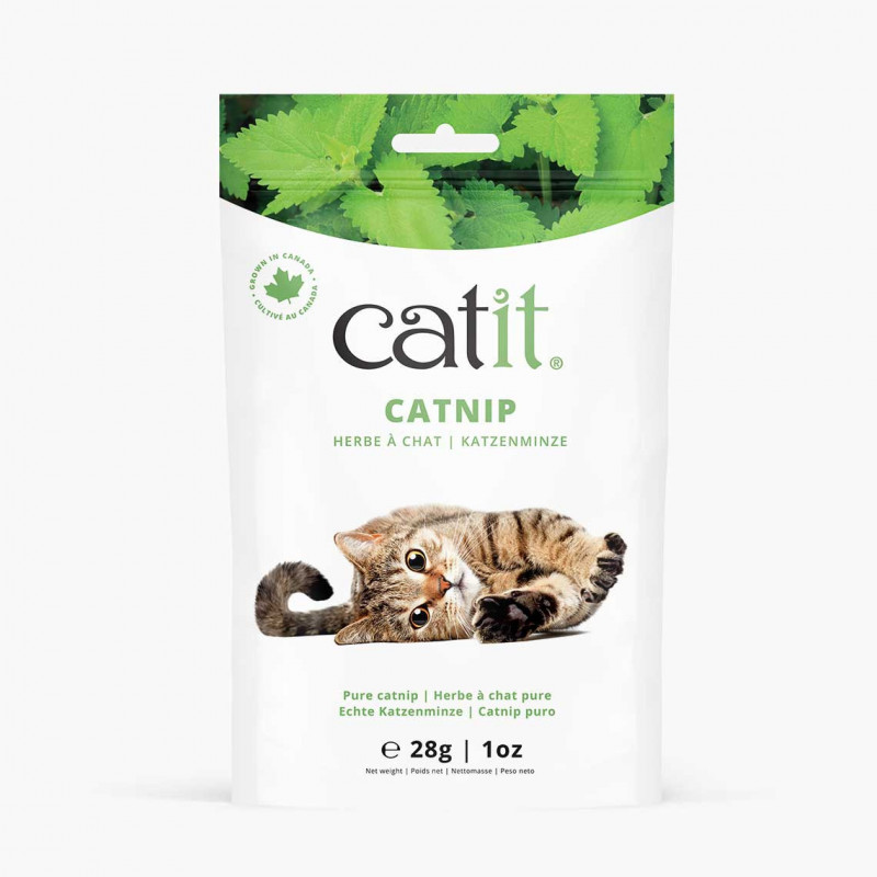 Catit Catnip - Seco