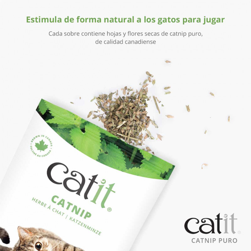 Catit Catnip - Seco