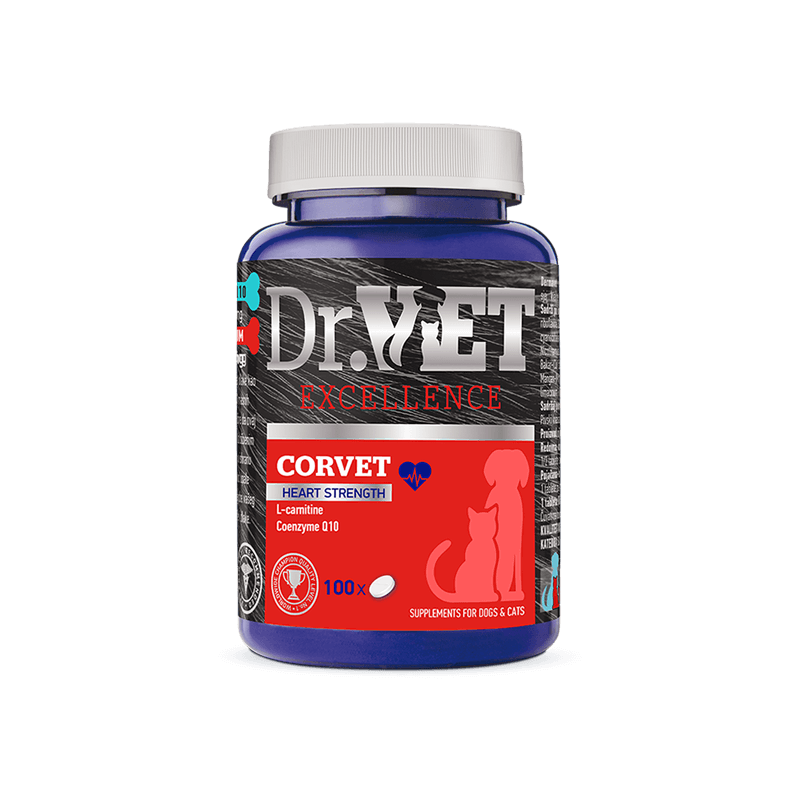 Dr Vet Corvet
