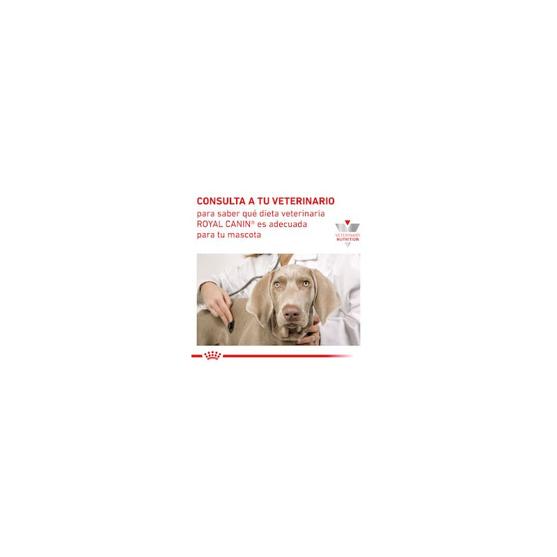 Royal Canin Recovery Lata