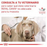 Royal Canin Recovery Lata