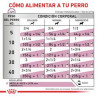 Royal Canin Cardiac Lata