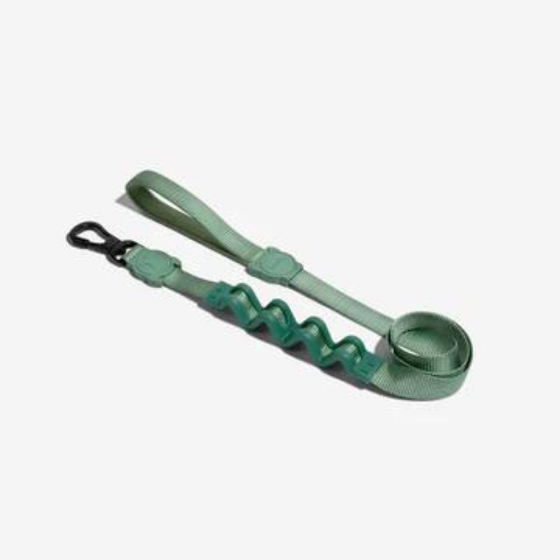 Zeedog Army Green Ruff Leash