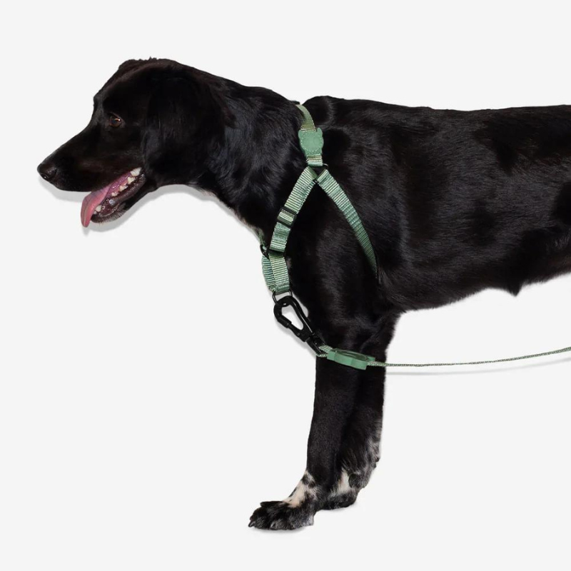 Zeedog Army Green Soft Walk Harness
