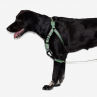 Zeedog Army Green Soft Walk Harness