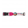 Zeedog Bloom Collar