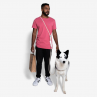 Zeedog Correa Hands Free Leash