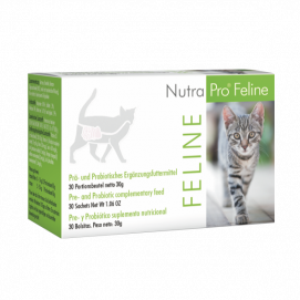 Nutrapro Feline - Probióticos para gato