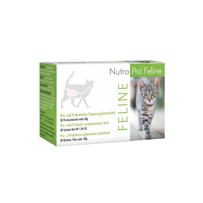 Nutrapro Feline - Probióticos para gato