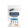 ADVANCE DOG - LIGHT ADULT MEDIUM