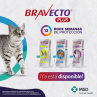 Bravecto Plus