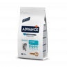 ADVANCE CAT - KITTEN